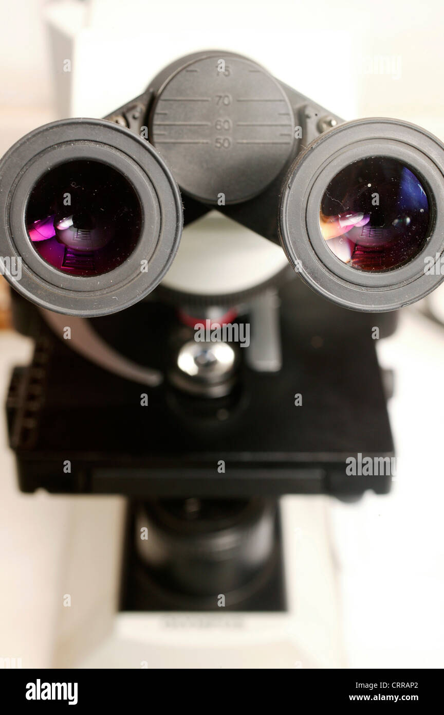 La lente de visualización de un microscopio. Foto de stock