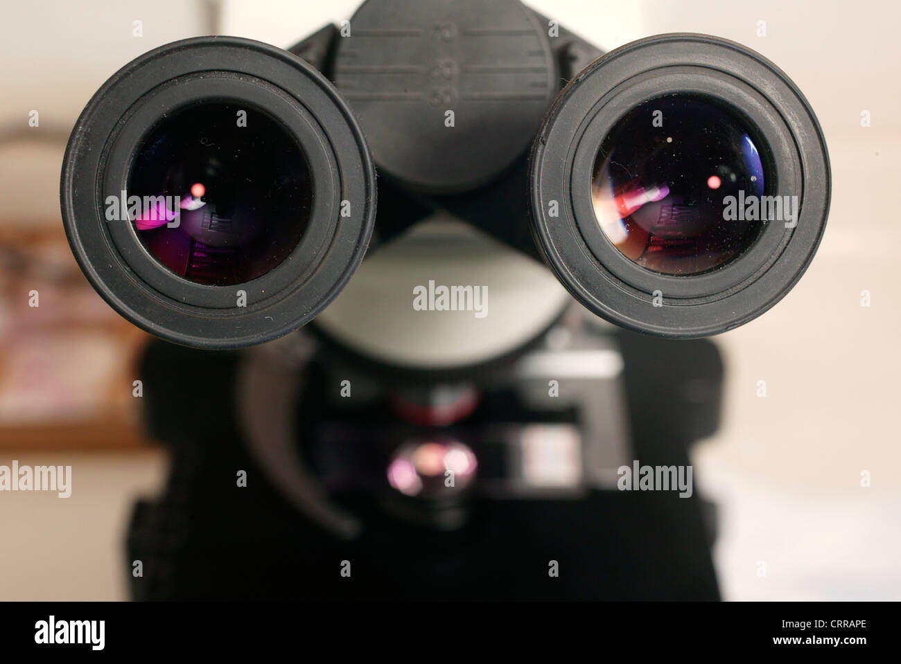 La lente de visualización de un microscopio. Foto de stock