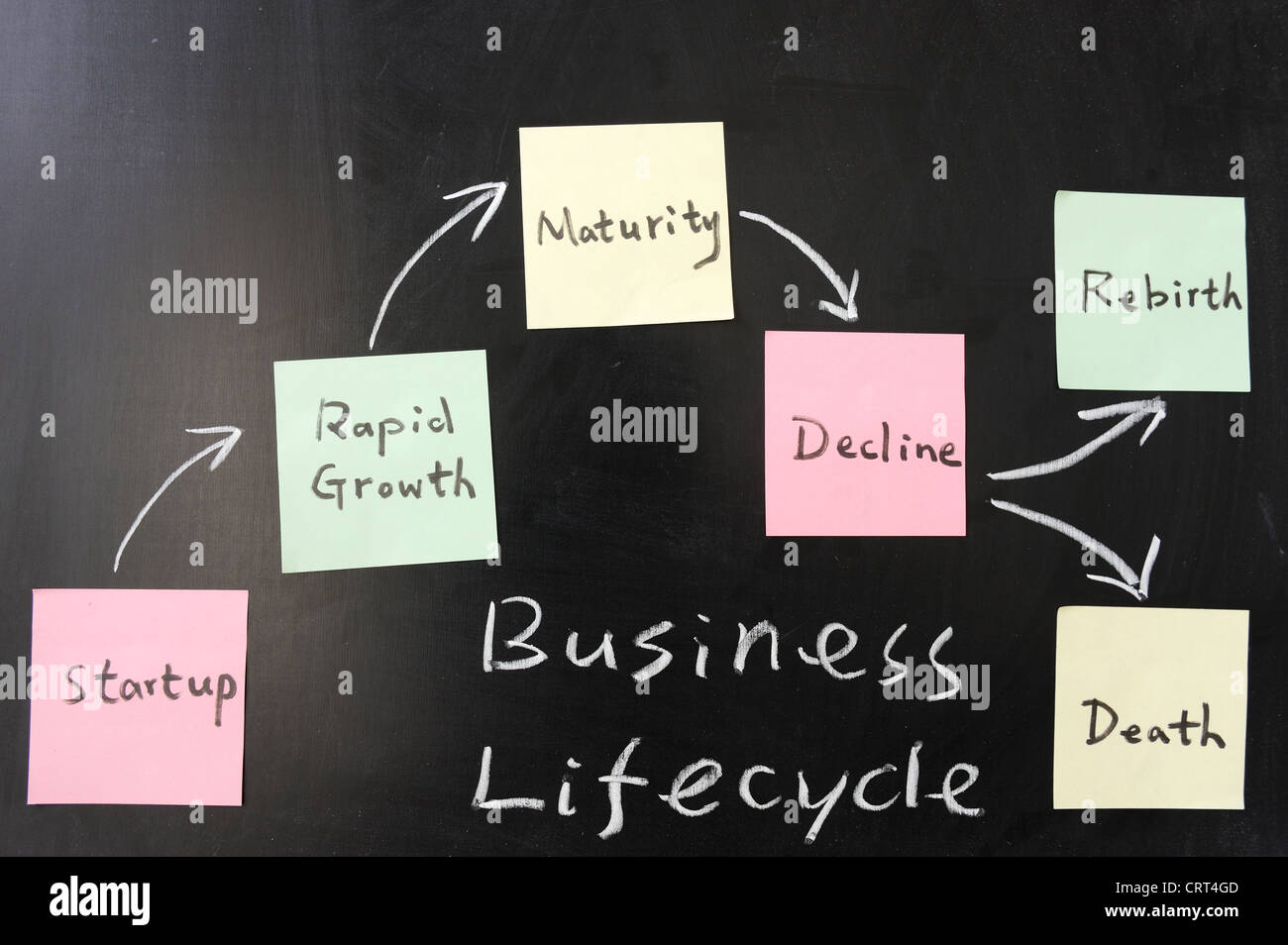 Concepto de ciclo de vida de negocios en pizarra Foto de stock