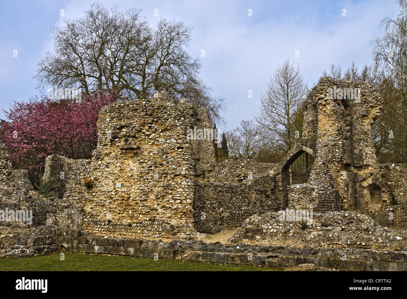 Reino Unido Winchester antiguo Palacio de los Obispos Foto de stock
