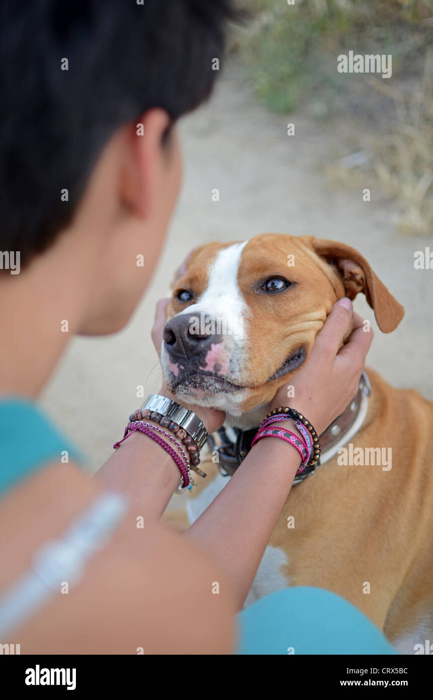 Mujer joven acariciando su cabeza de perros Foto de stock