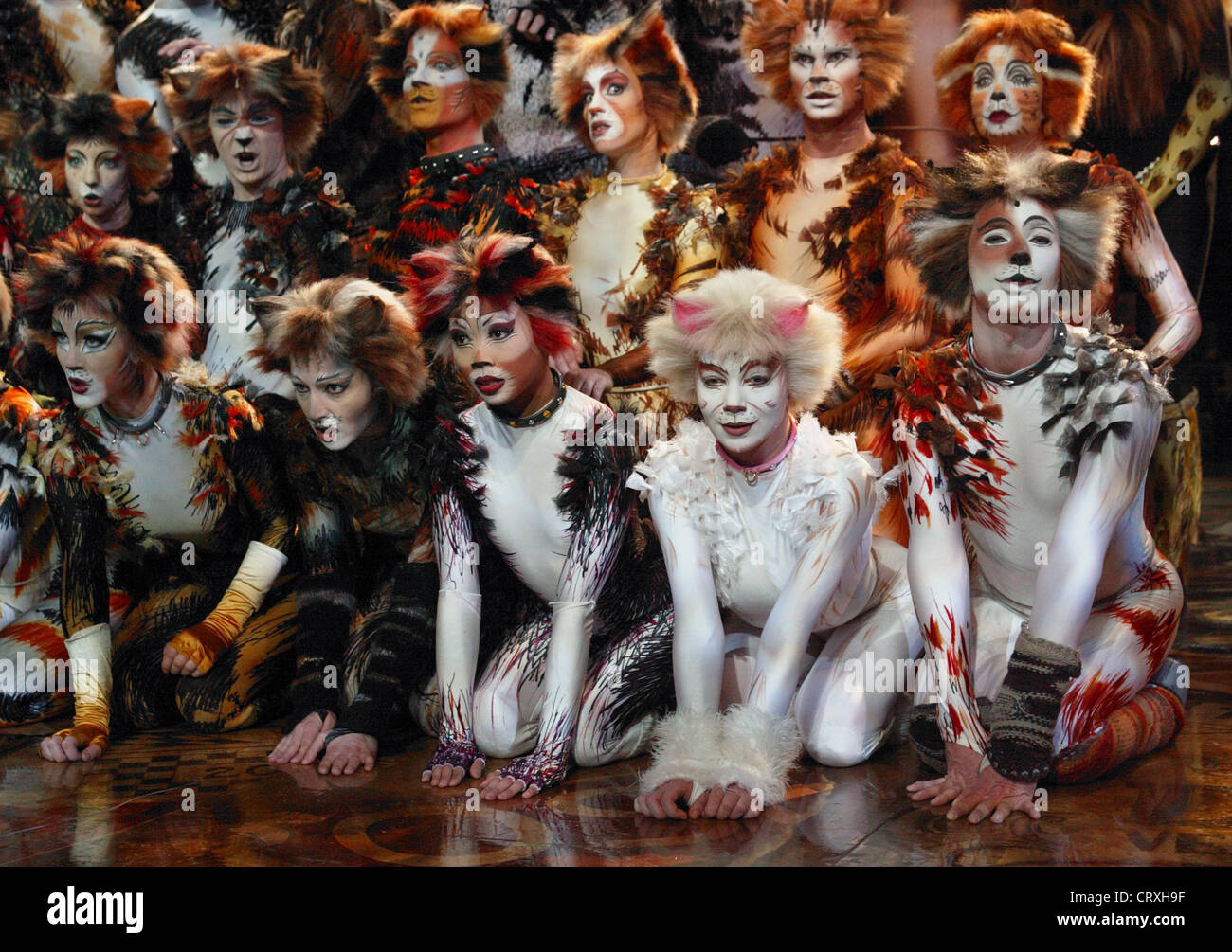 Los gatos musicales en el Teatro del Capitolio en Duesseldorf Foto de stock