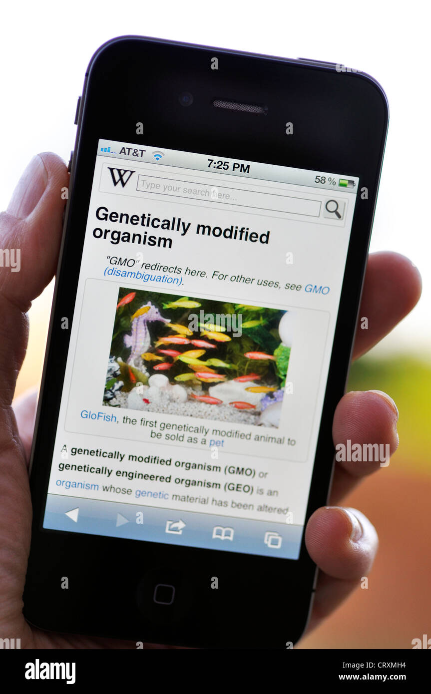 IPhone - Wikipedia - Organismos Genéticamente Modificados Foto de stock