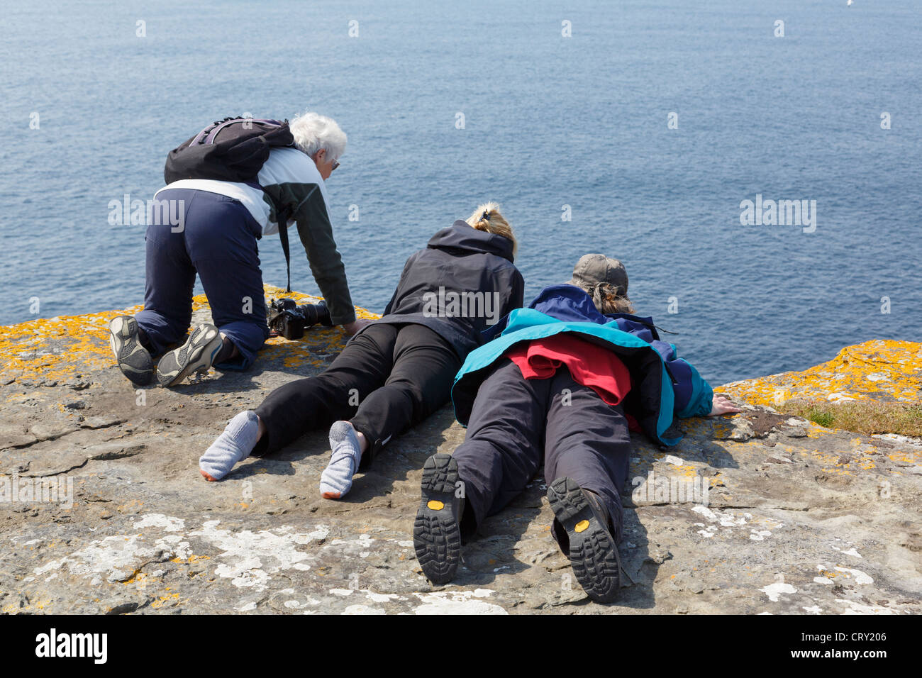 Tres mujeres mirando por encima del borde de una mancha de seacliff frailecillos en cabeza Noup RSPB, Westray Island, Islas Orcadas, Escocia, Reino Unido Foto de stock