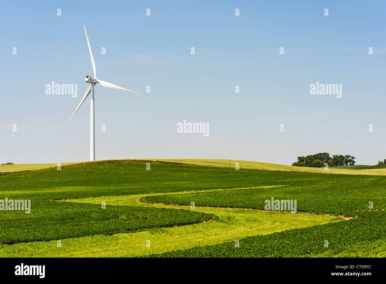Turbina de viento en el medio oeste de los Estados Unidos campo agrícola. Foto de stock