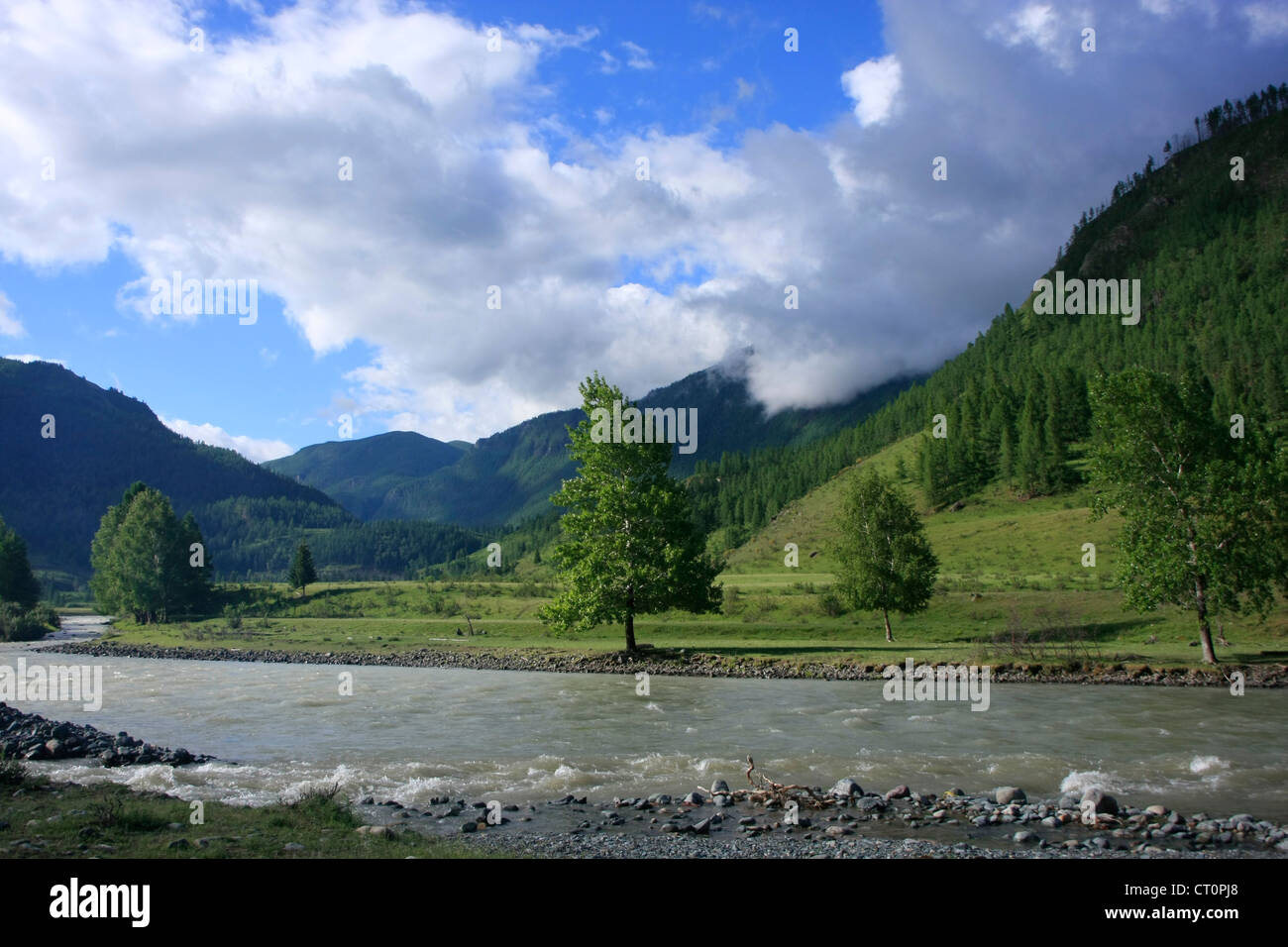 A lo largo de escenas de la naturaleza prístina Chuya river, Altai, Siberia, Rissia Foto de stock