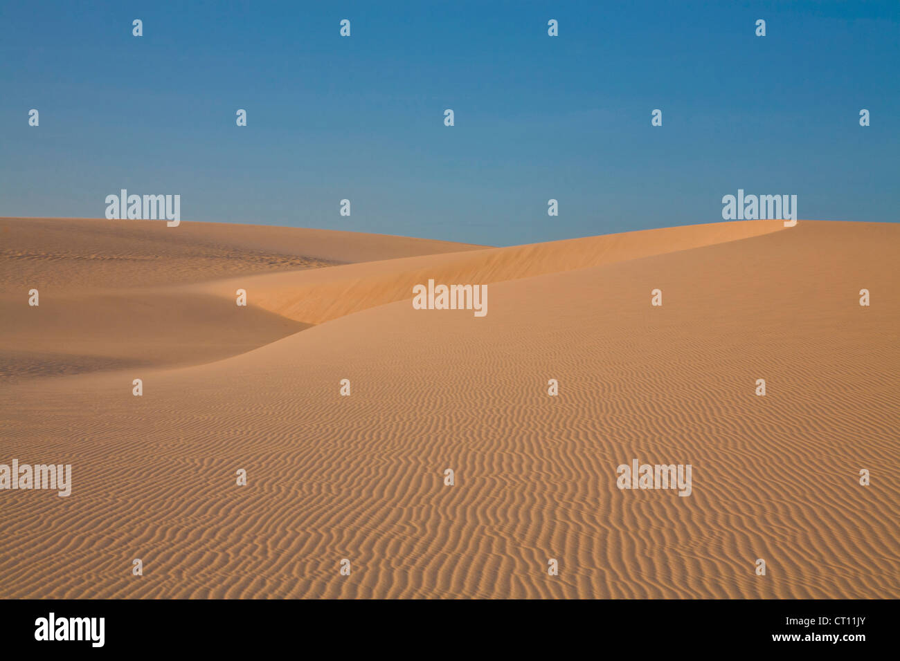 Ondulaciones en las dunas de arena bajo un cielo azul Foto de stock