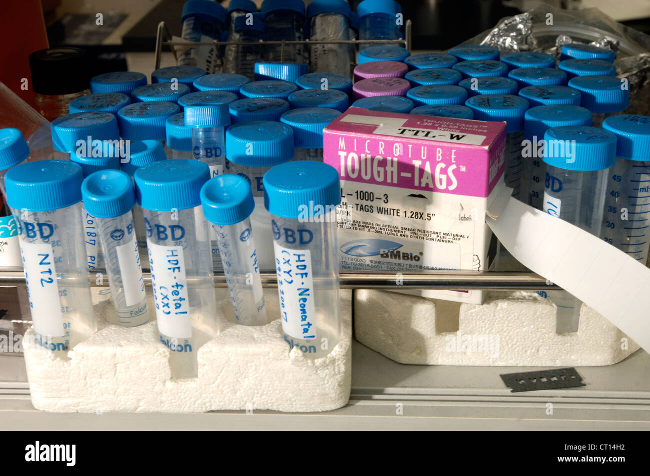 Una colección de frascos para la investigación de células madre Foto de stock