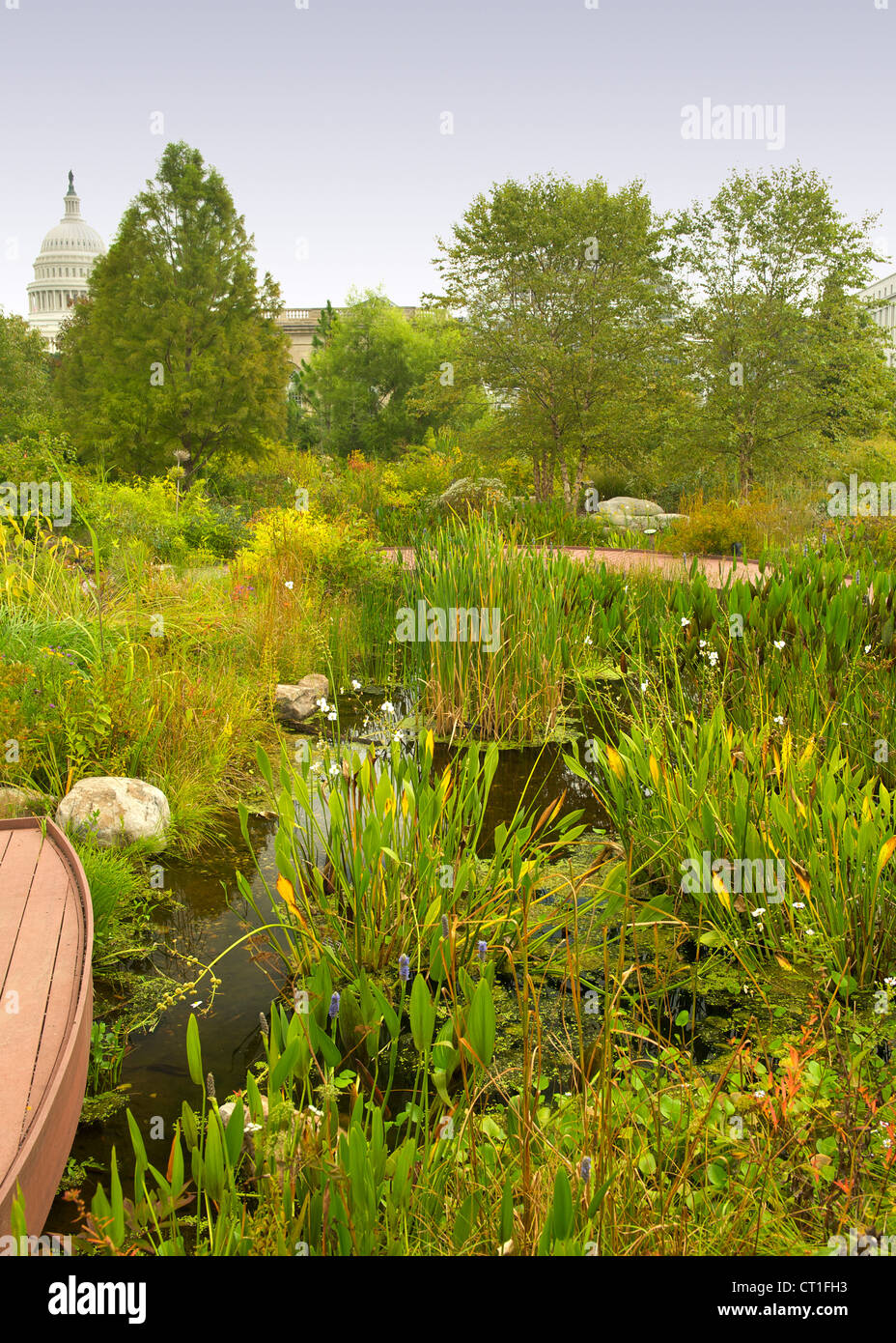 Jardín Botánico estadounidense en Washington DC, Estados Unidos. Foto de stock