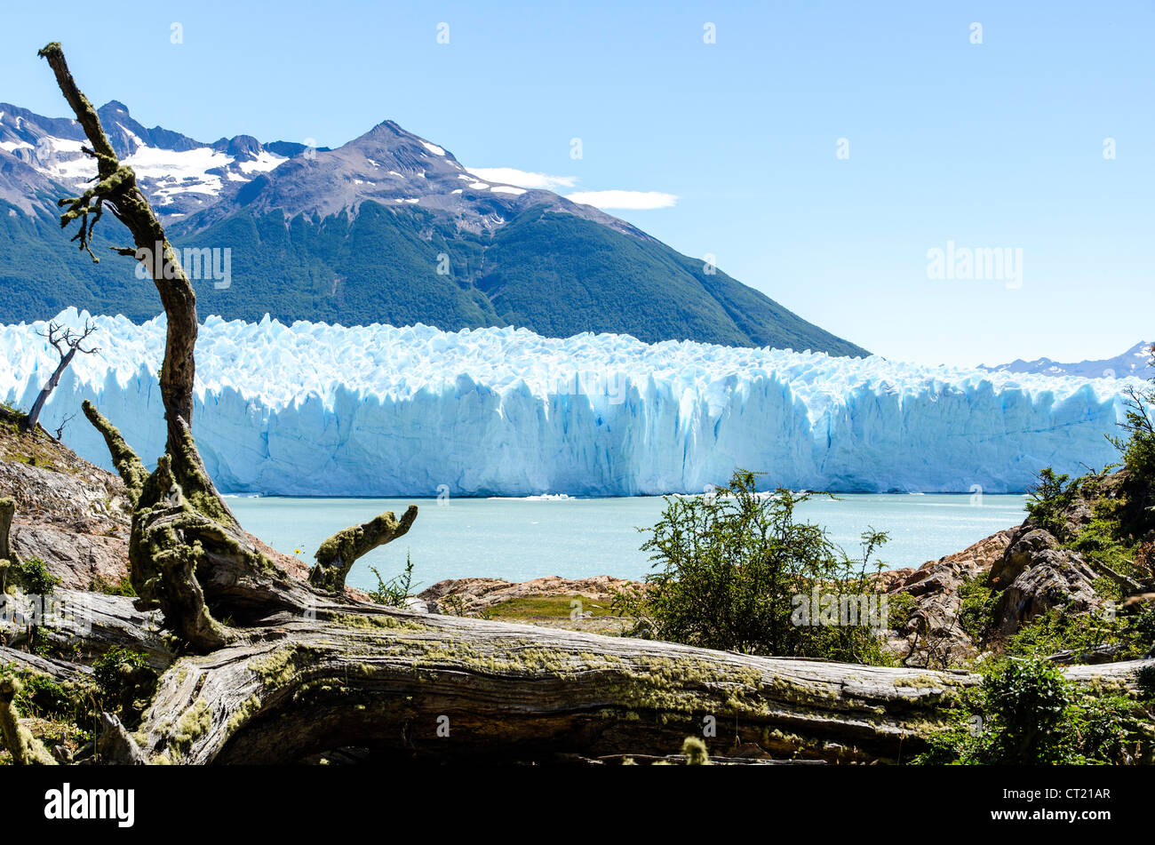 Glaciar Perito Moreno Patagonia Argentina América del Sur Foto de stock