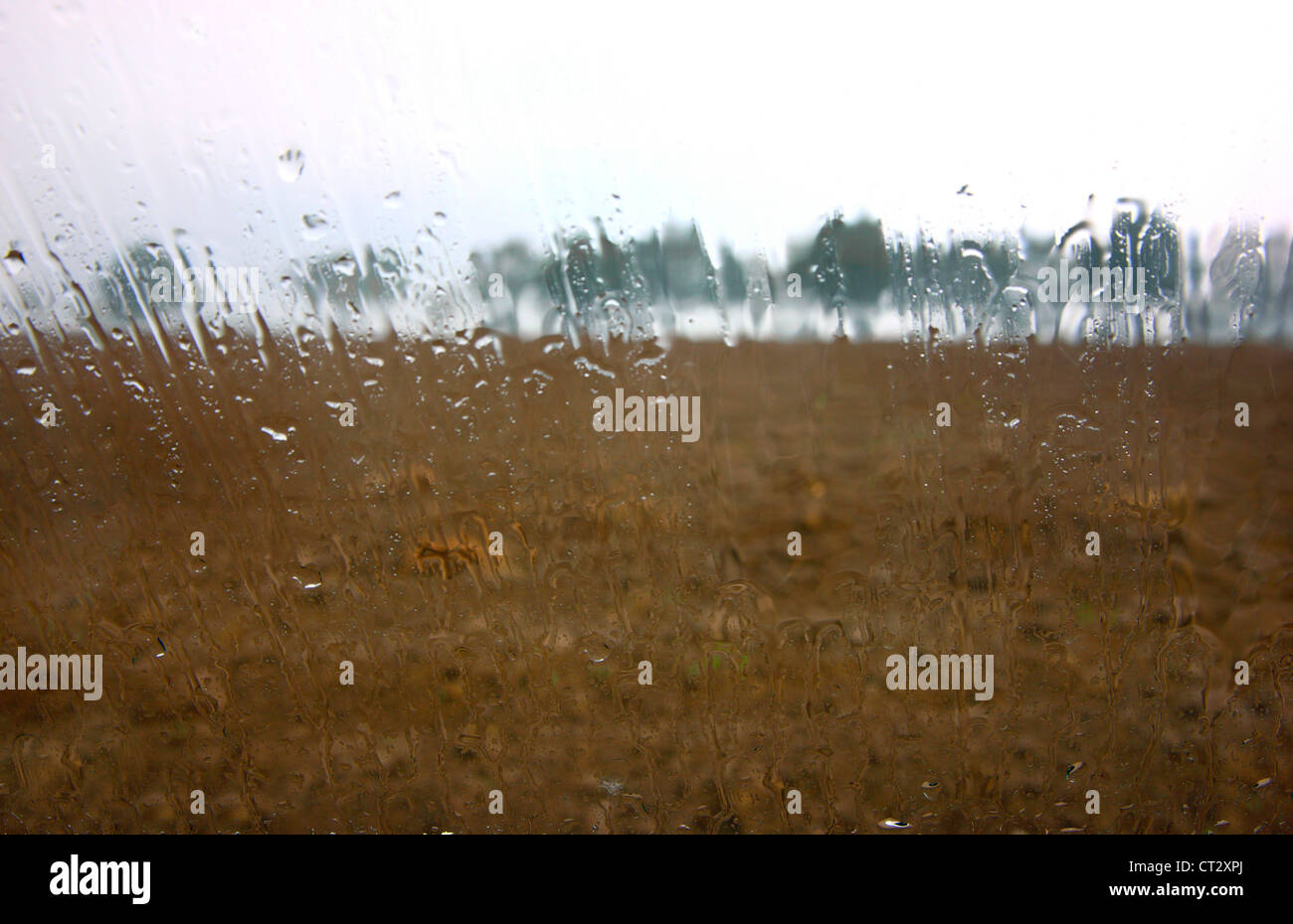 Día lluvioso, las gotas de lluvia corriendo por un viento. Vista de un terreno fangoso, árboles en la lluvia. Foto de stock