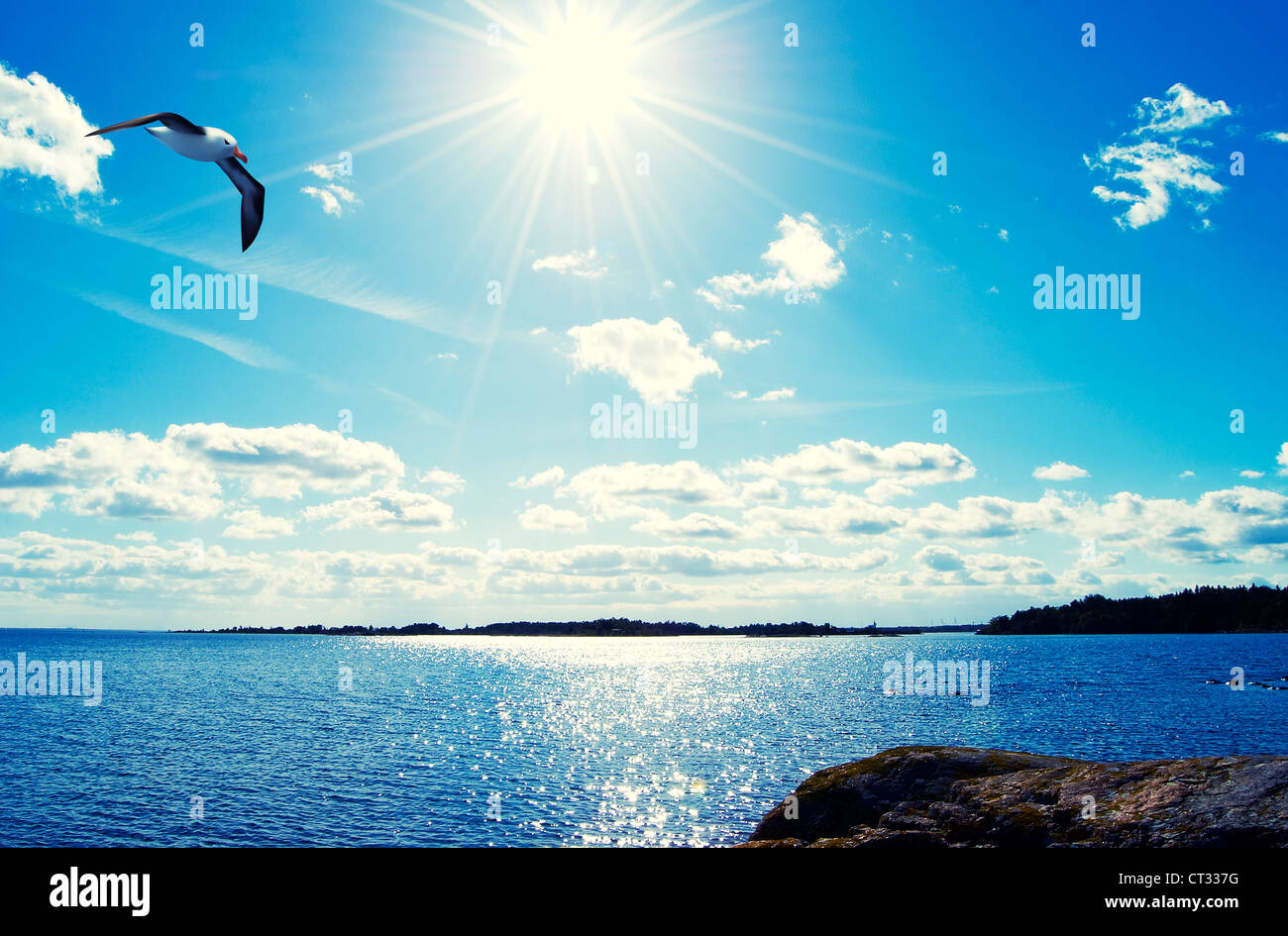 Seagull flotando en el mar, paisajes, fotografía e ilustración Foto de stock