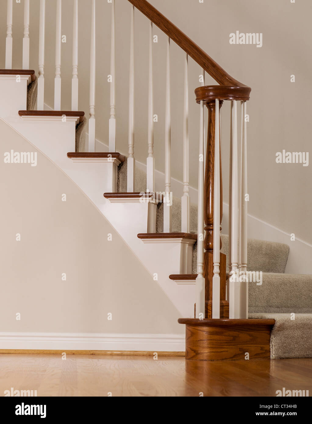 Escalera de roble de madera con alfombra pasos y moldura blanca Foto de stock