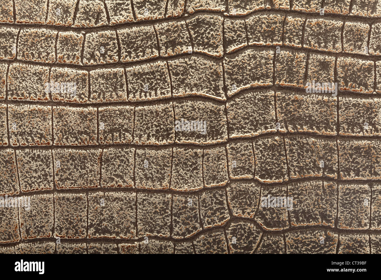 Fondo de textura de piel de cocodrilo Fotografía de stock - Alamy