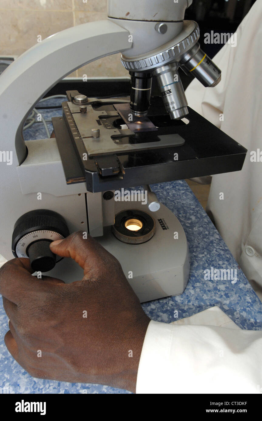 Un técnico de laboratorio mirando a una muestra a través de la lente de un microscopio, mientras que el ajuste del enfoque de la lente. Foto de stock