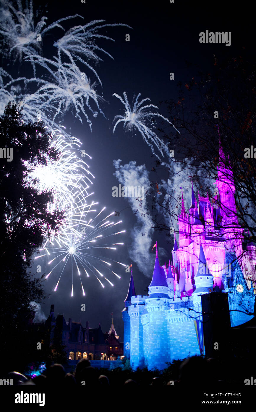 Noche de fuegos artificiales sobre el Castillo de Cenicienta en Magic Kingdom, Disney World, Orlando, Florida Foto de stock