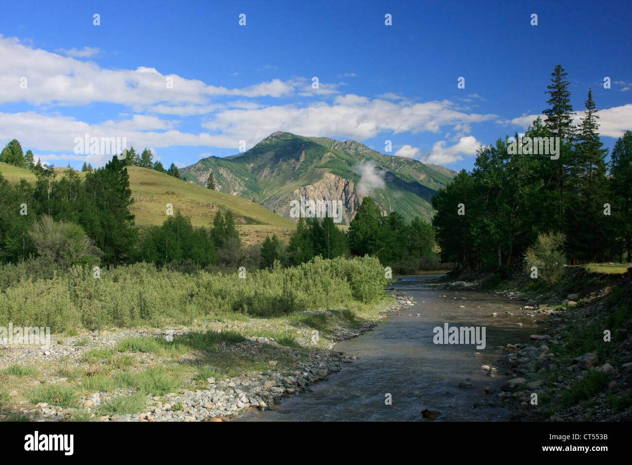A lo largo de escenas de la naturaleza prístina Chuya river, Altai, Siberia, Rusia Foto de stock