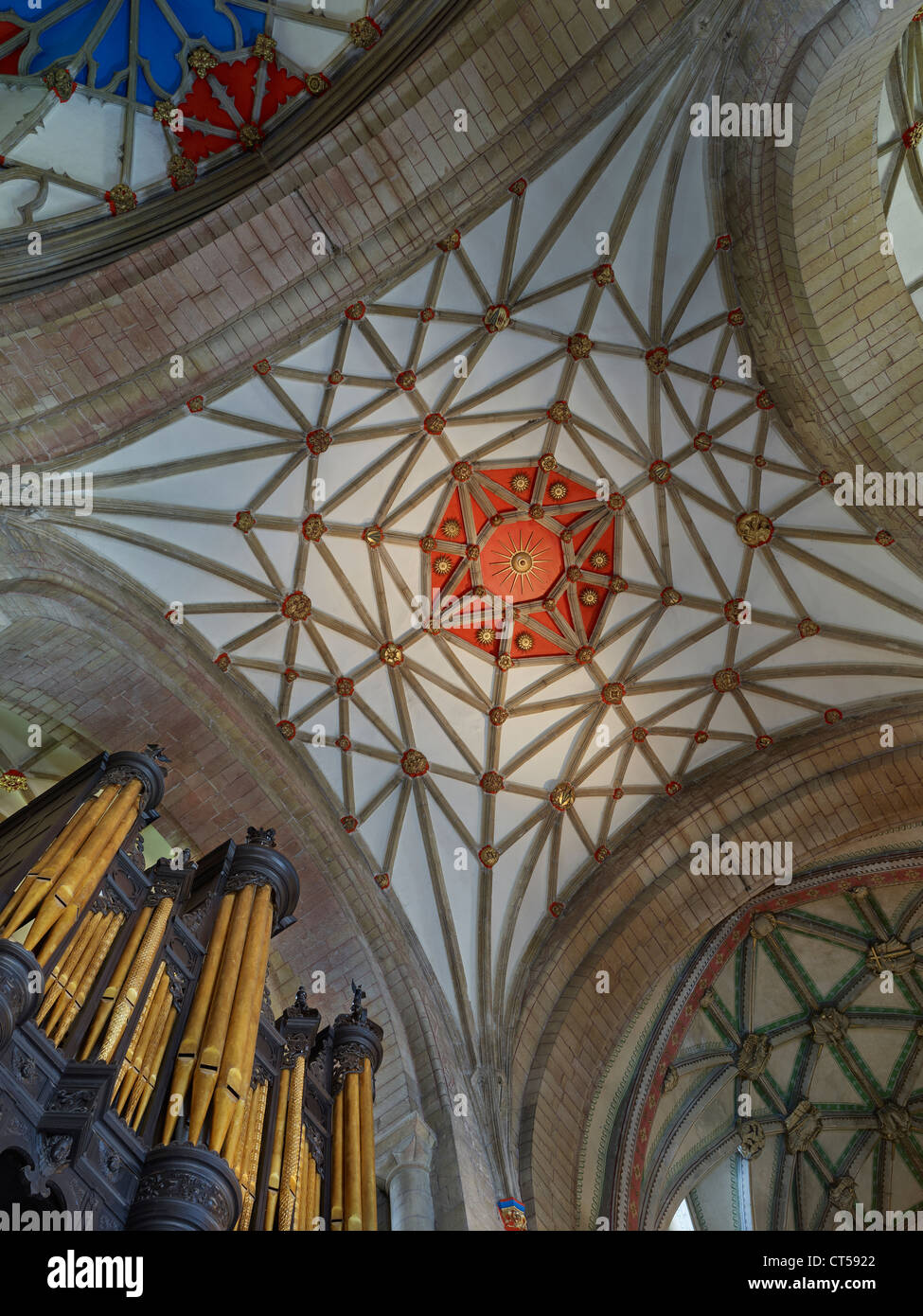 La Abadía de Tewkesbury net bóvedas en coro o quire Foto de stock