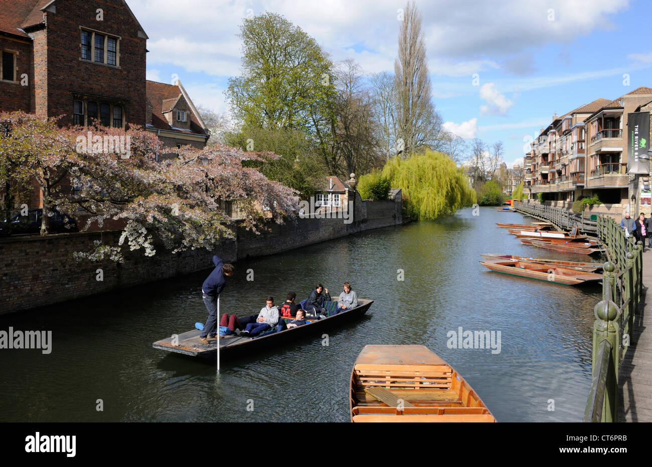 Navegar por el río Cam en primavera, Cambridge Foto de stock