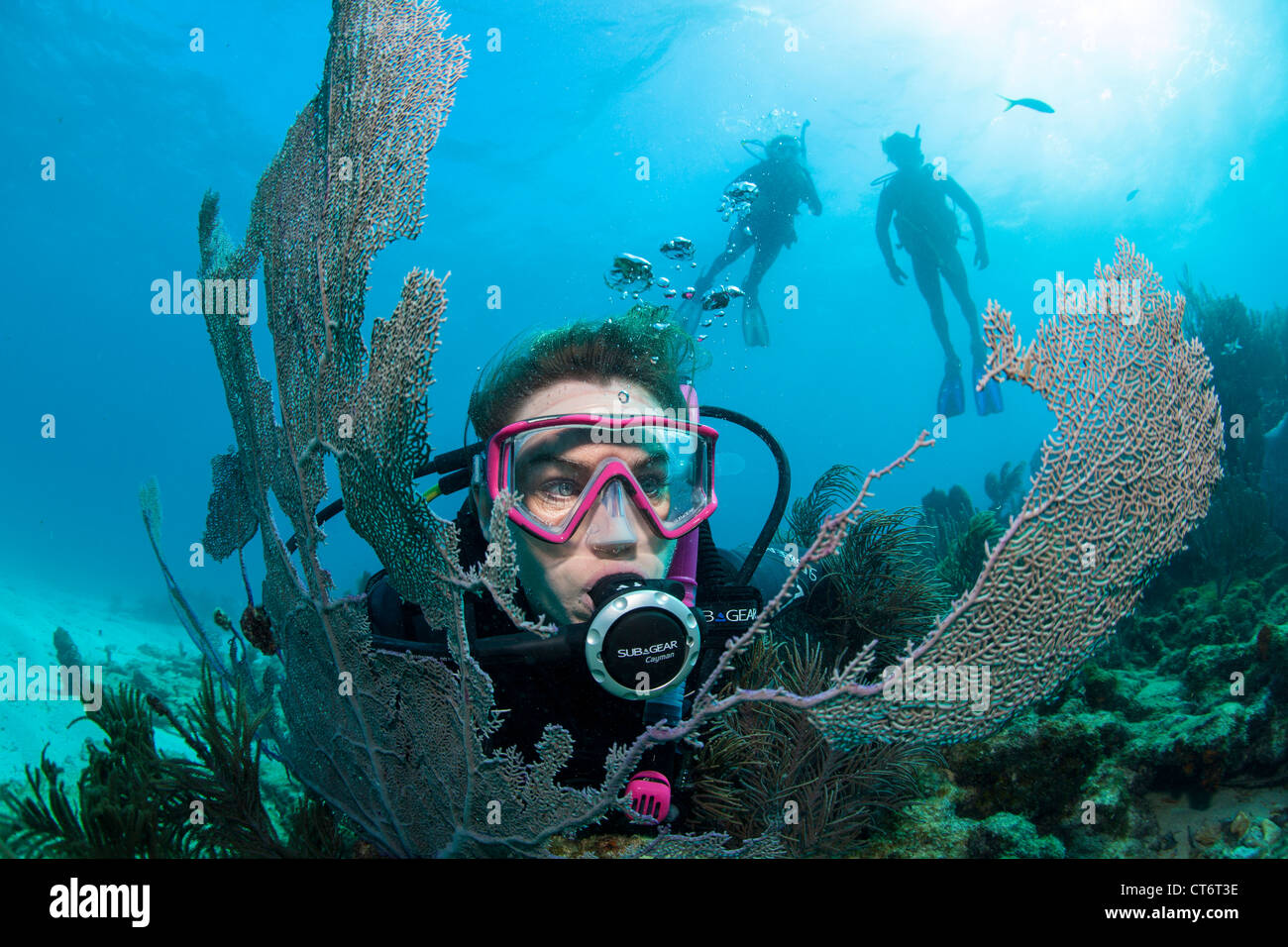 Scuba Diver y fan de mar Foto de stock