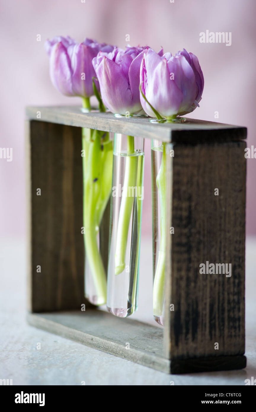 Tres tulipanes púrpura en un pequeño frasco de vidrio con agua. DOF superficial Foto de stock