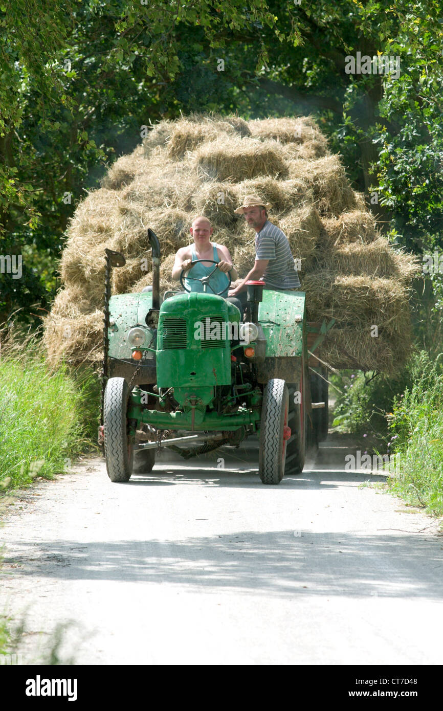 Mecklenburg, hombres llevan en el heno Foto de stock