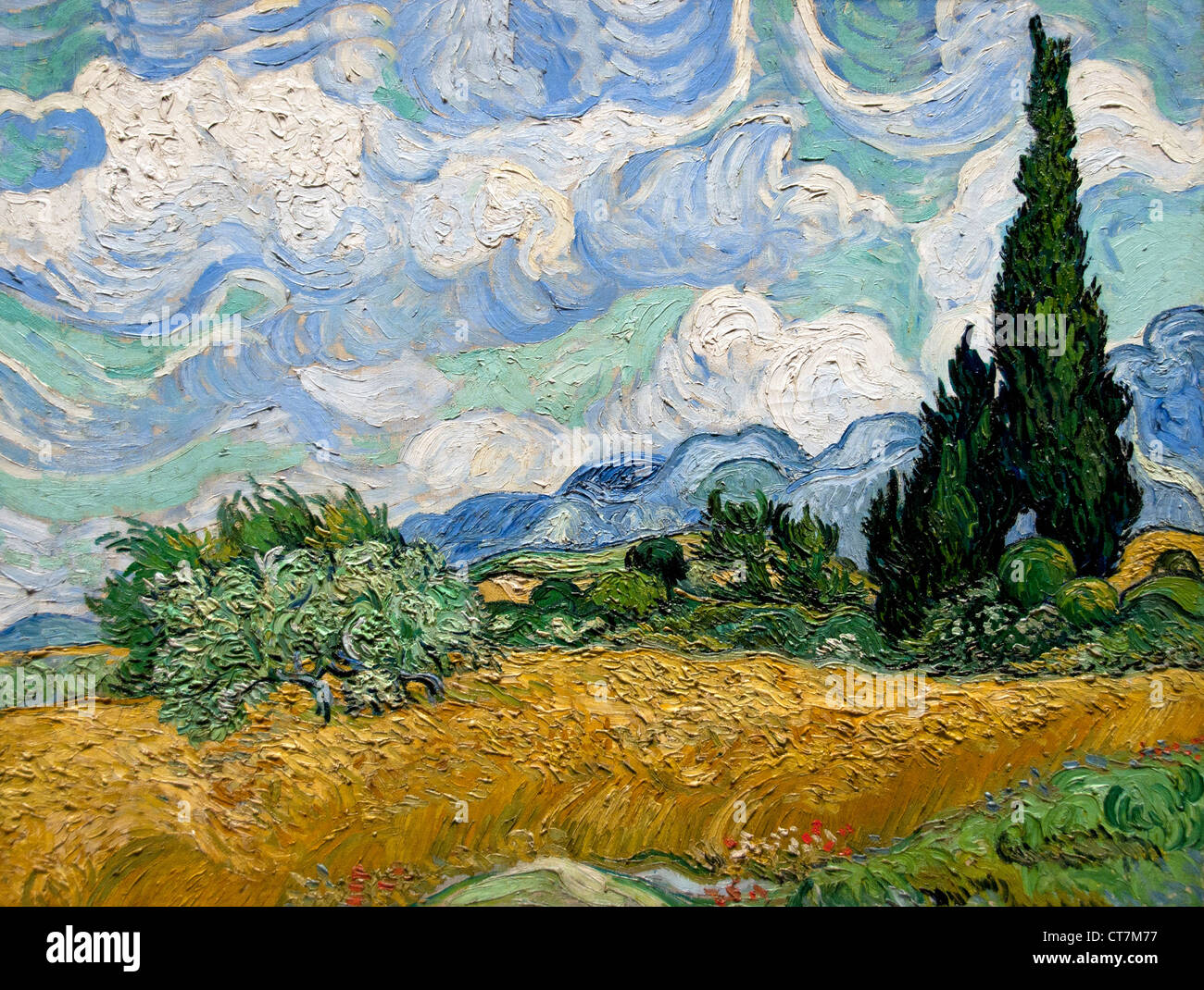 Campo de trigo con cipreses 1889 VVincent van Gogh 1853-1890 Holanda Holandesa Foto de stock