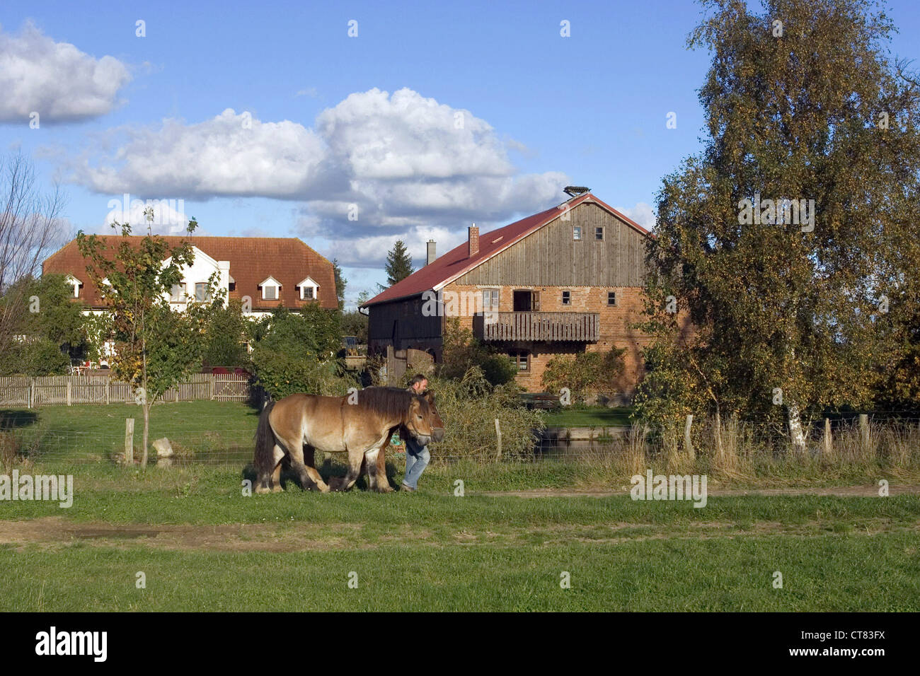 Una granja en el Estado federado de Mecklemburgo-Pomerania Occidental Foto de stock