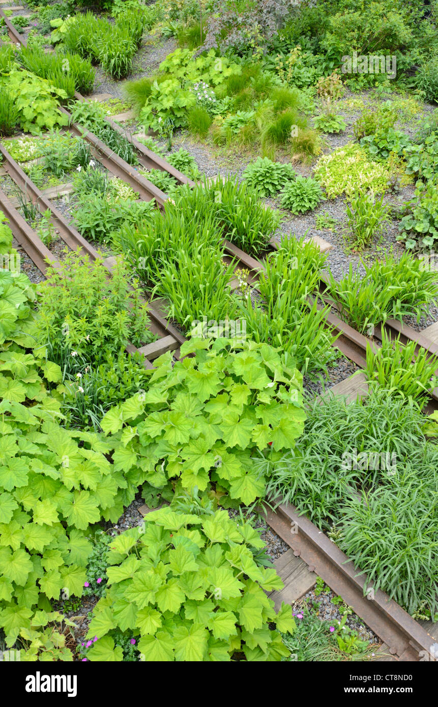 Cama perenne, High Line, Nueva York, EE.UU. Foto de stock