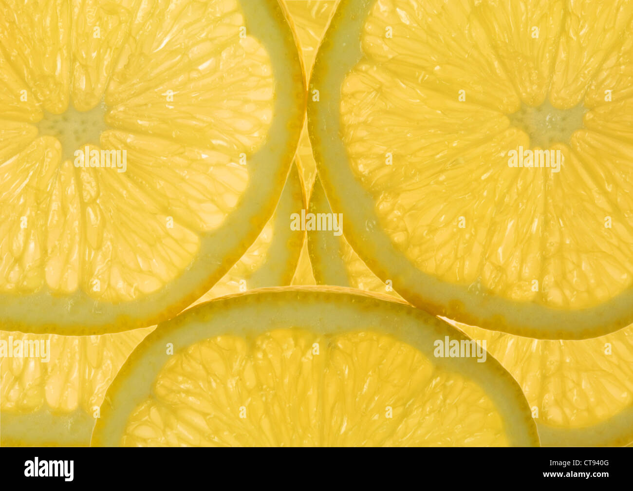Citrus limon, limón Foto de stock