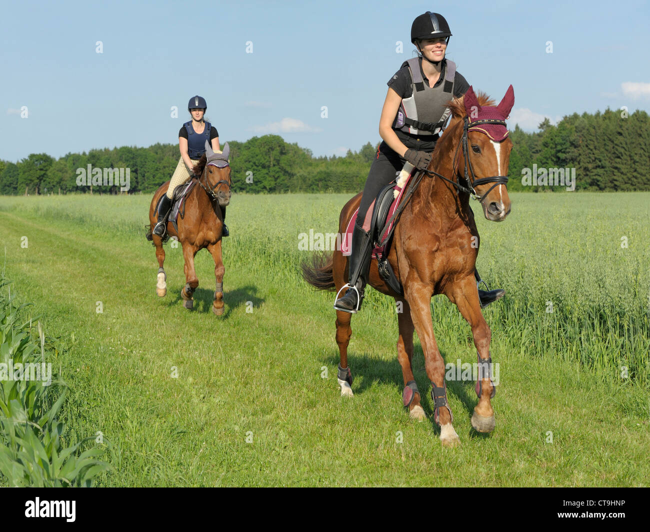 Insignificante Planta rima Dos jinetes vistiendo un casco de equitación y un chaleco protector durante  un paseo fuera Fotografía de stock - Alamy