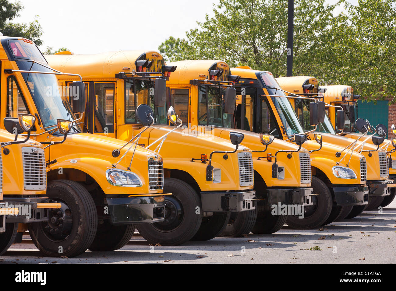 Autobuses escolares estacionados Foto de stock