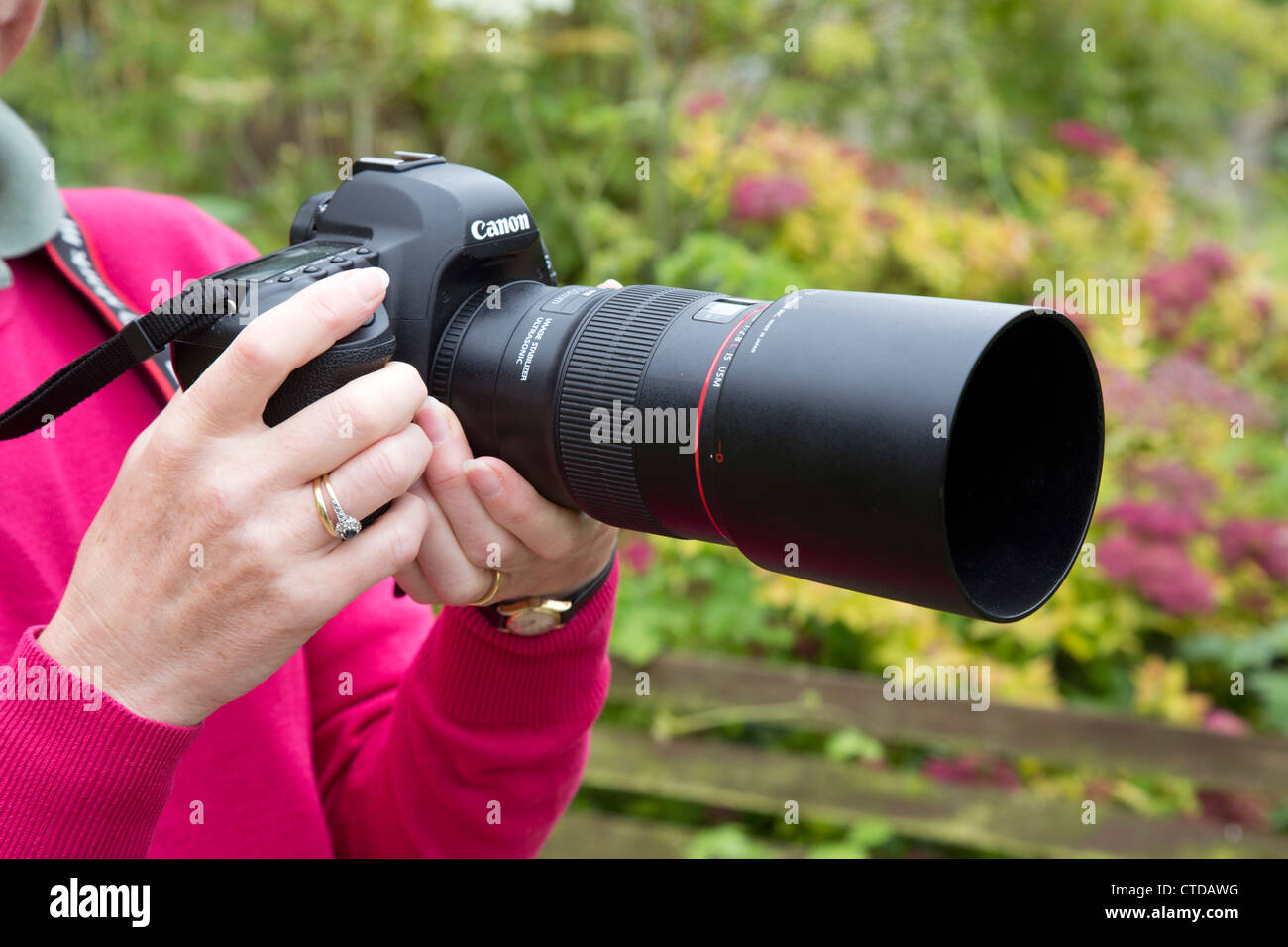 Lenshood; en posición de disparo; mujer sosteniendo la cámara; Foto de stock