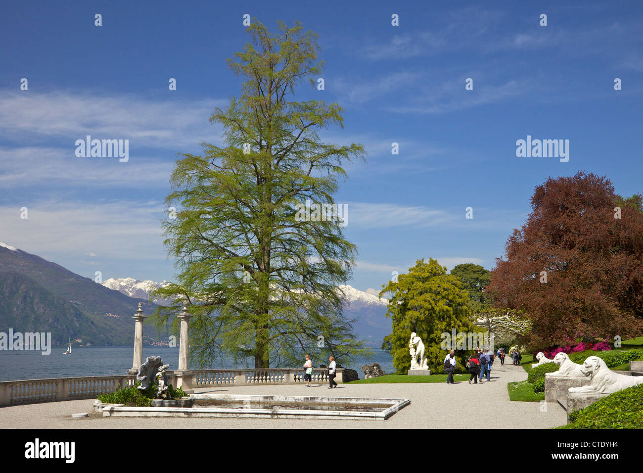 Los jardines de Villa Melzi, Bellagio, Lago de Como, Italia, Europa Foto de stock