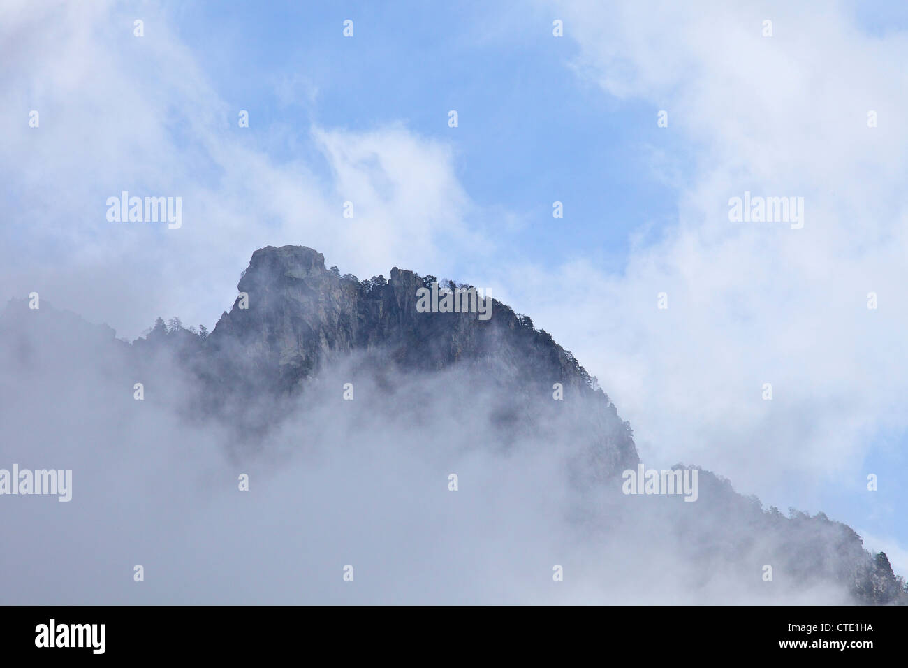 Acantilados y bosques de neblina, Engadin Valley, Alpes Suizos, Suiza Europa Foto de stock