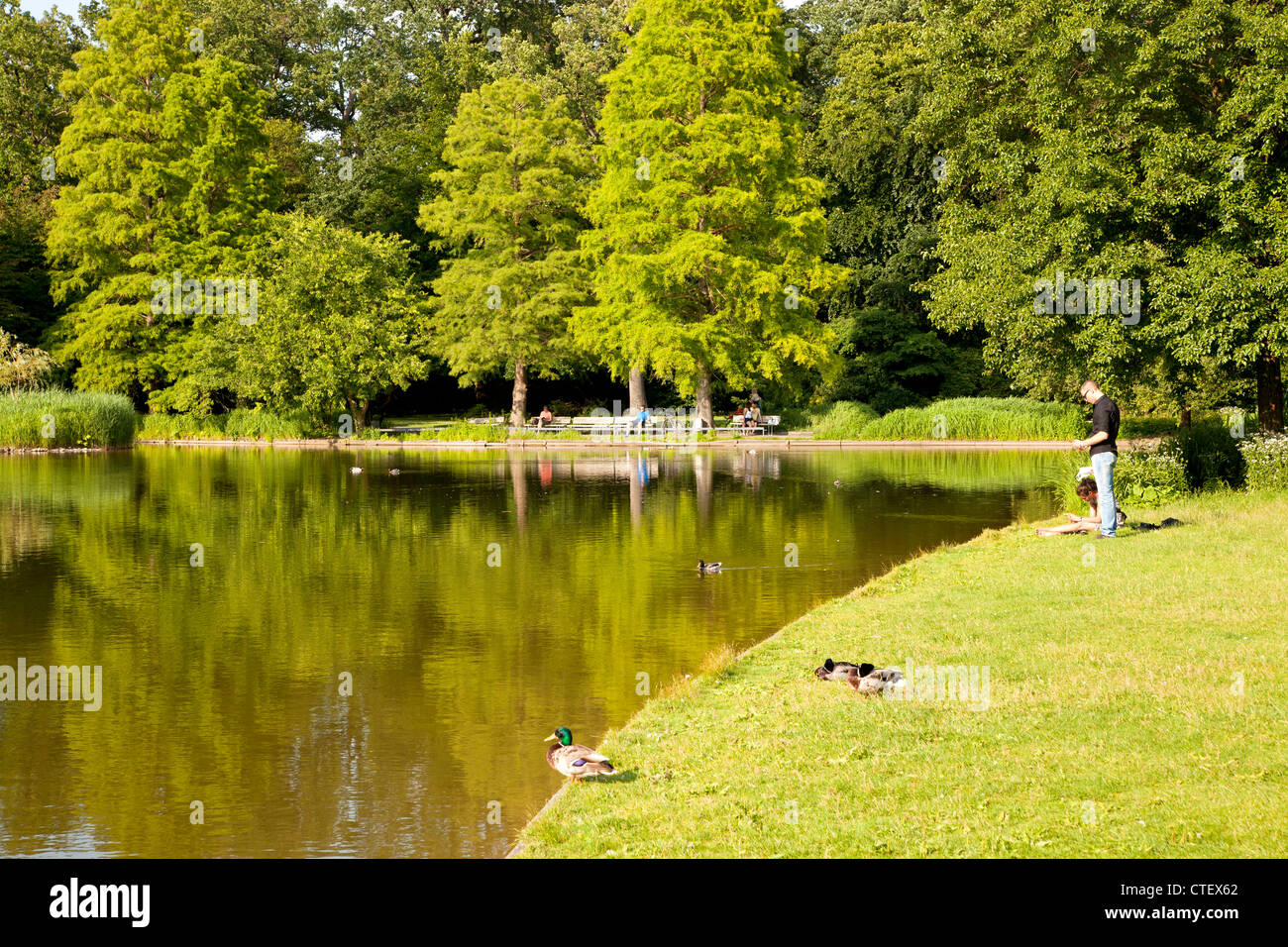 Lago, a los jardines del palacio de Karlsruhe, Baden-Württemberg, Alemania Foto de stock