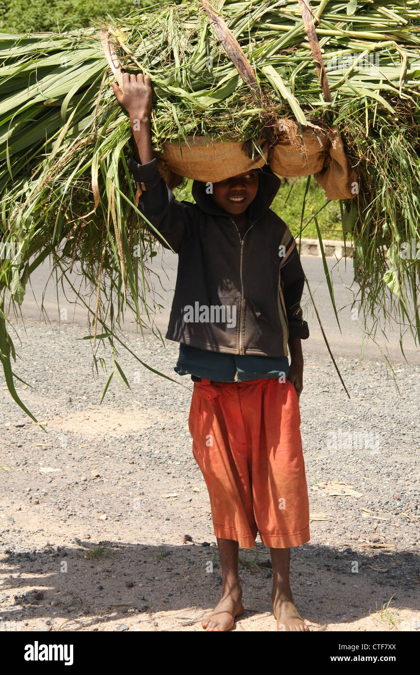 La vida del pueblo de Rwanda, la recolección de las cosechas Foto de stock