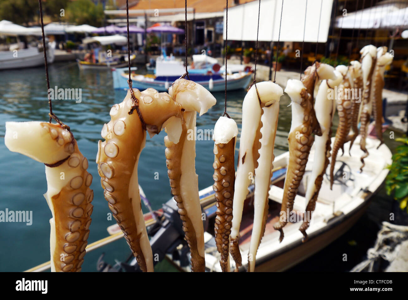 Puerto griego con pulpo tentáculos Foto de stock
