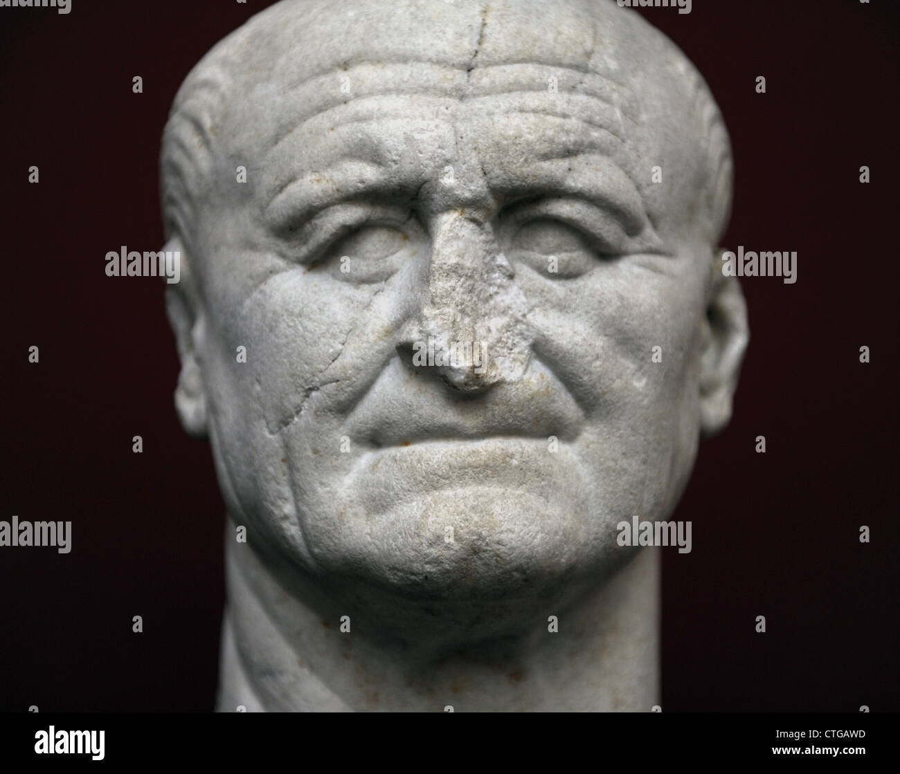 Vespasiano (Titus Flavius Vespasianus) (9-79). El emperador romano (69-79). Busto. Mármol. 70 A.C. Carlsberg Glyptotek Museum. Foto de stock