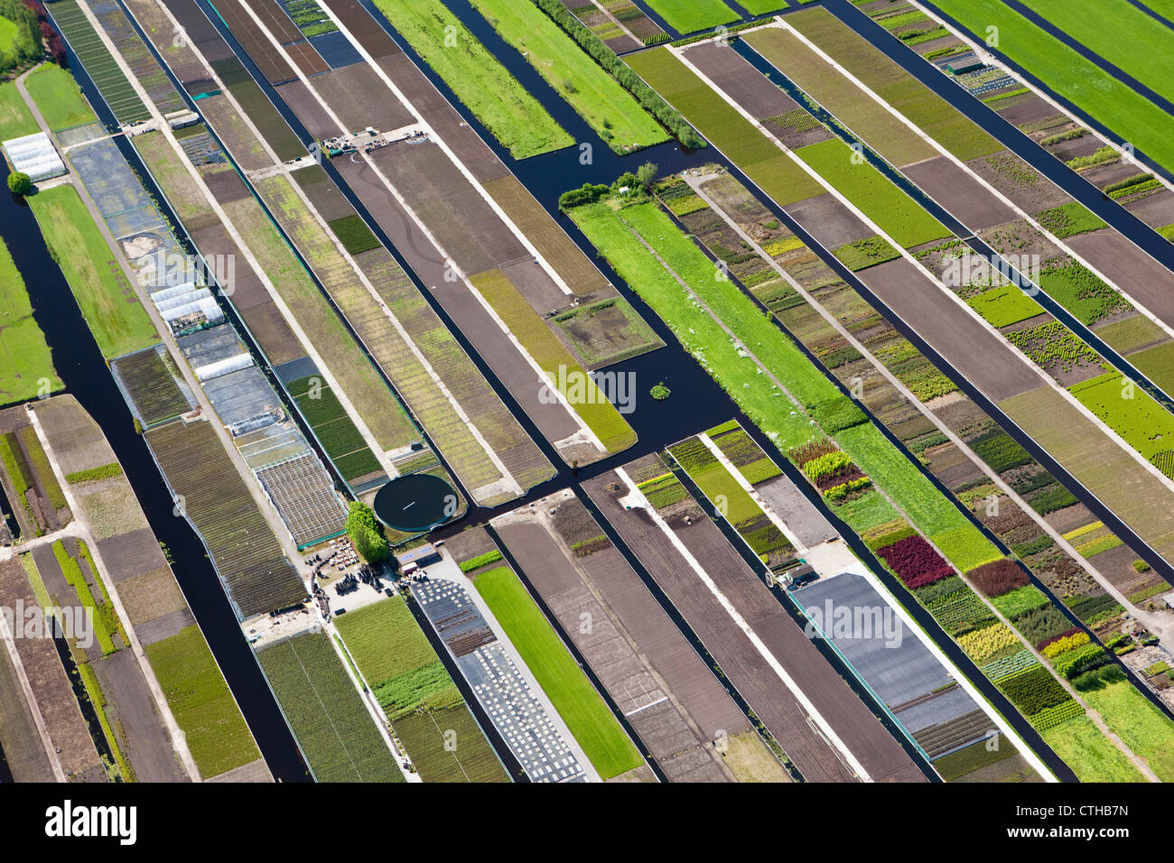 Los Países Bajos, el Boskoop, horticultura. Antena. Foto de stock