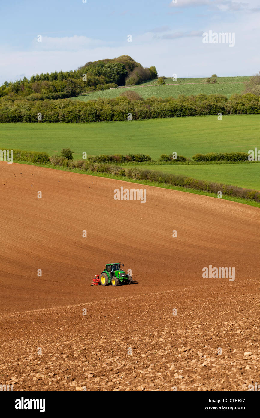 Un tractor y la sembradora siembra en un gran campo de Cotswold temerario suelo cerca de la aldea de Cotswold, Gloucestershire Hampen Foto de stock