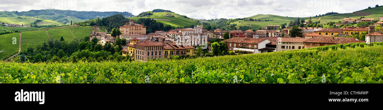 Valle de Barolo, viñedos, panorama, provincia de Piamonte, Italia Foto de stock