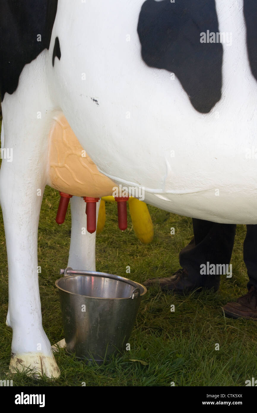 Un modelo de la ubre de las vacas y la cuchara de acero Foto de stock