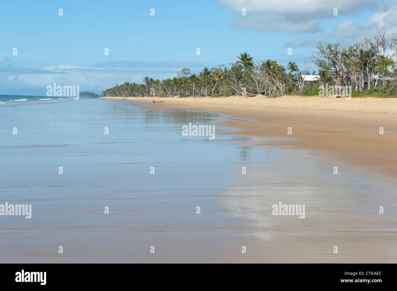 Wongaling rodeada de palmeras Playa de Mission Beach en Cassowary Coast