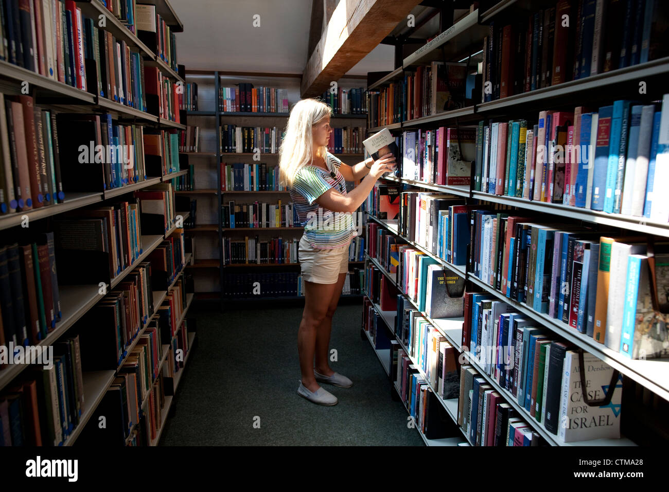 Estudiante universitario en la biblioteca de la Universidad de Buckingham, Inglaterra, Reino Unido. Foto de stock