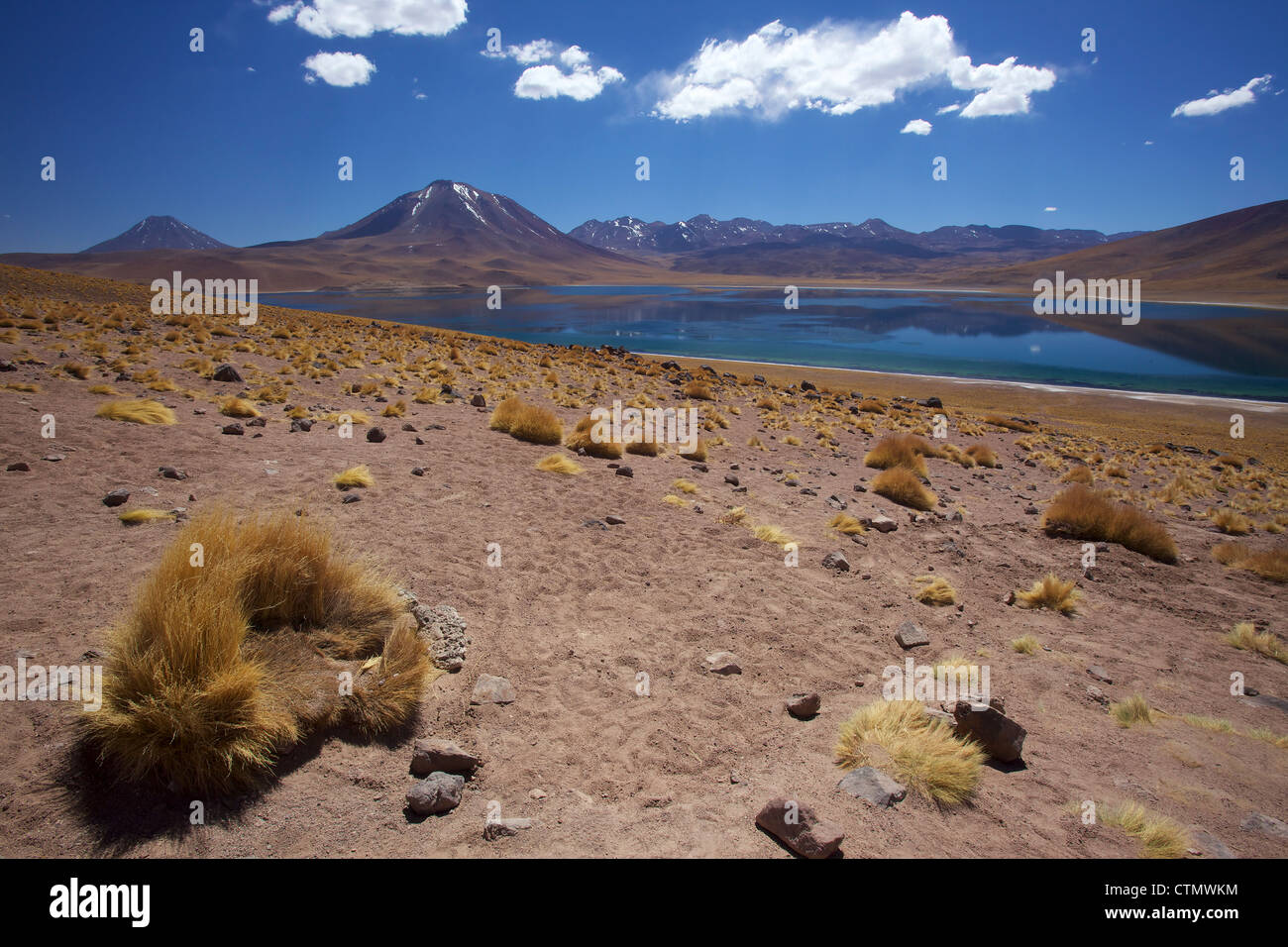 Laguna Miscanti, Reserva Nacional Los Flamencos, el desierto de Atacama