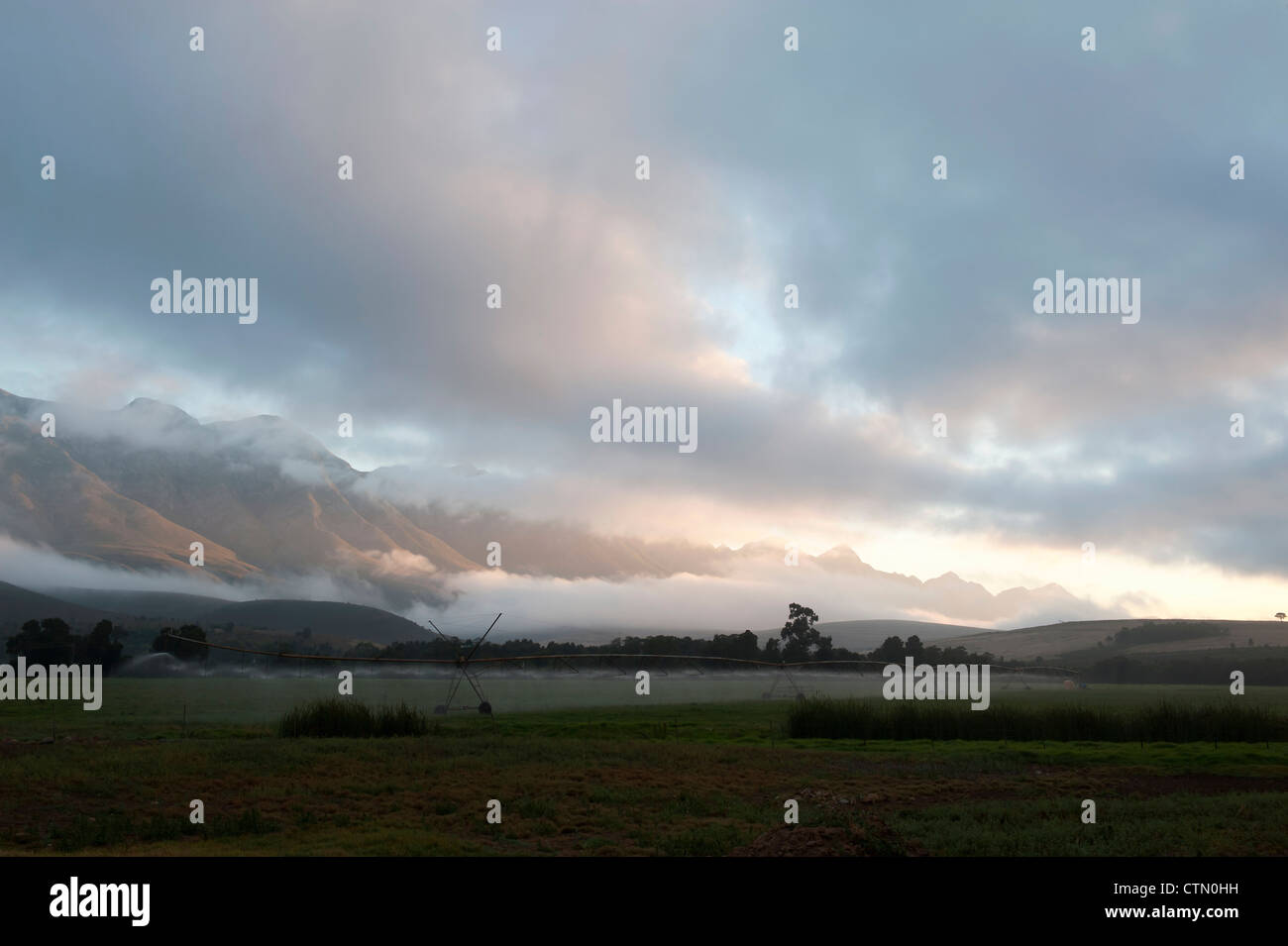 Temprano en la mañana el riego de Lucerna, Overberg cerca Grayton Riviersonderend diario, Montañas, Western Cape, Sudáfrica Foto de stock