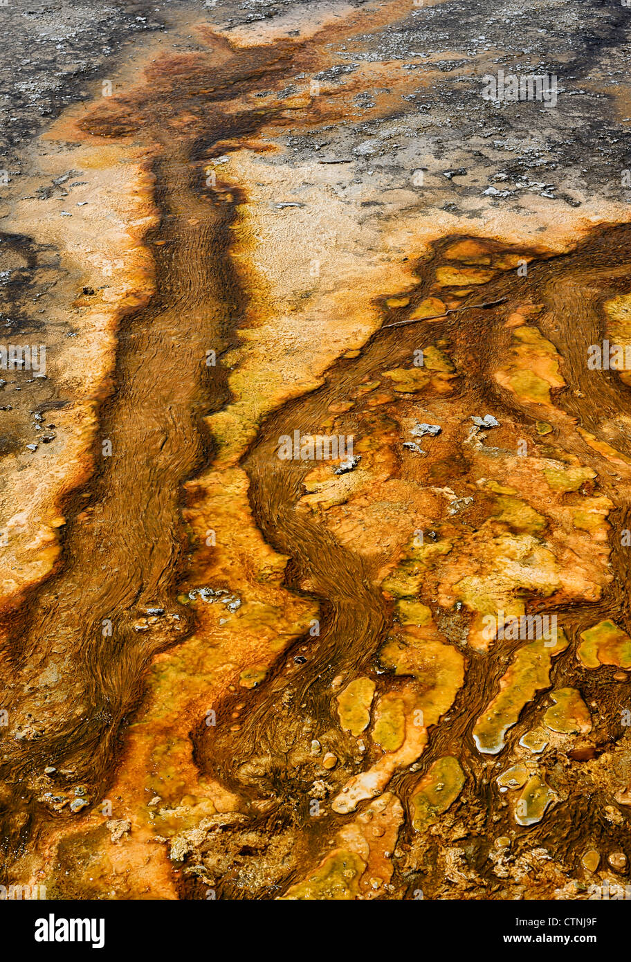 Resumen Los patrones de barro en la Cuenca del Géiser Superior, el Parque Nacional Yellowstone, Wyoming, EE.UU. Foto de stock