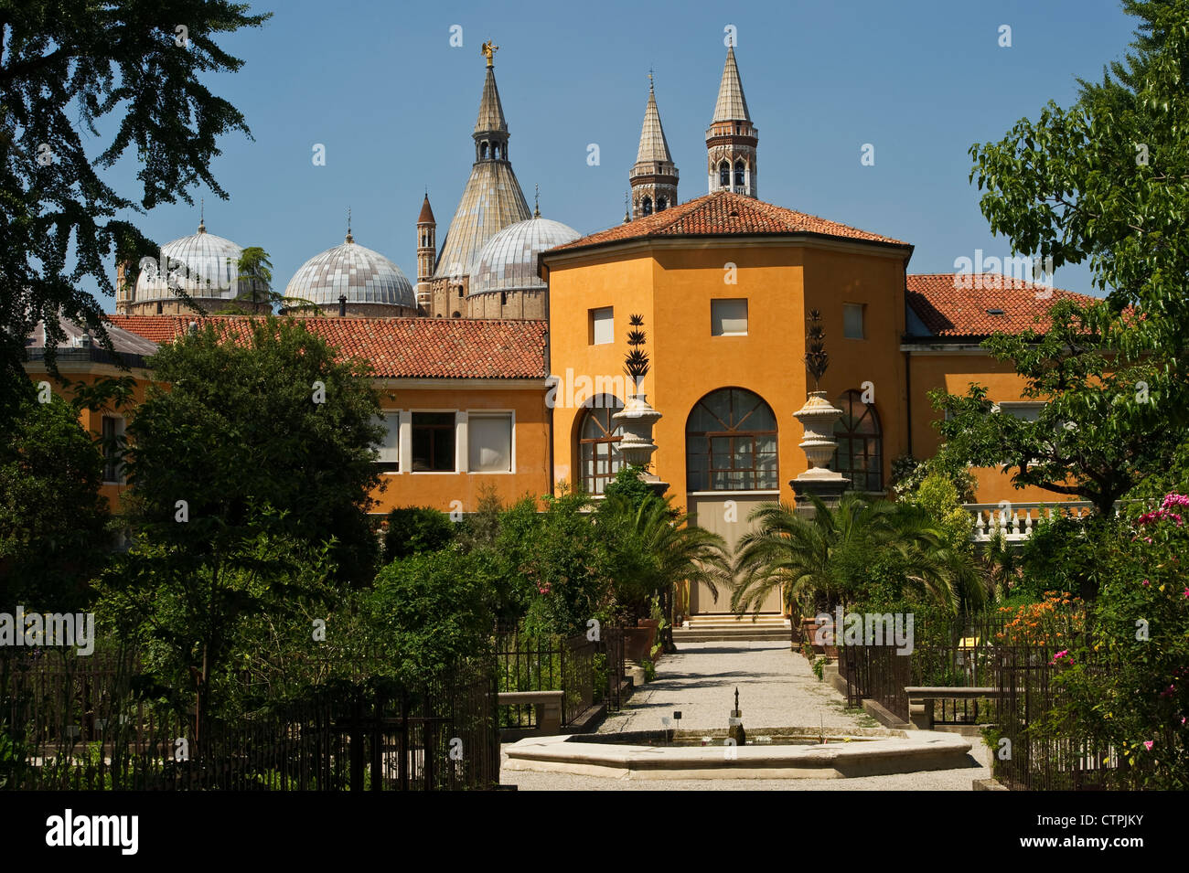 El Jardín Botánico de Padua, Italia, (Orto Botanico di Padova), fundado en 1545. La Basílica de Sant'Antonio está al fondo Foto de stock