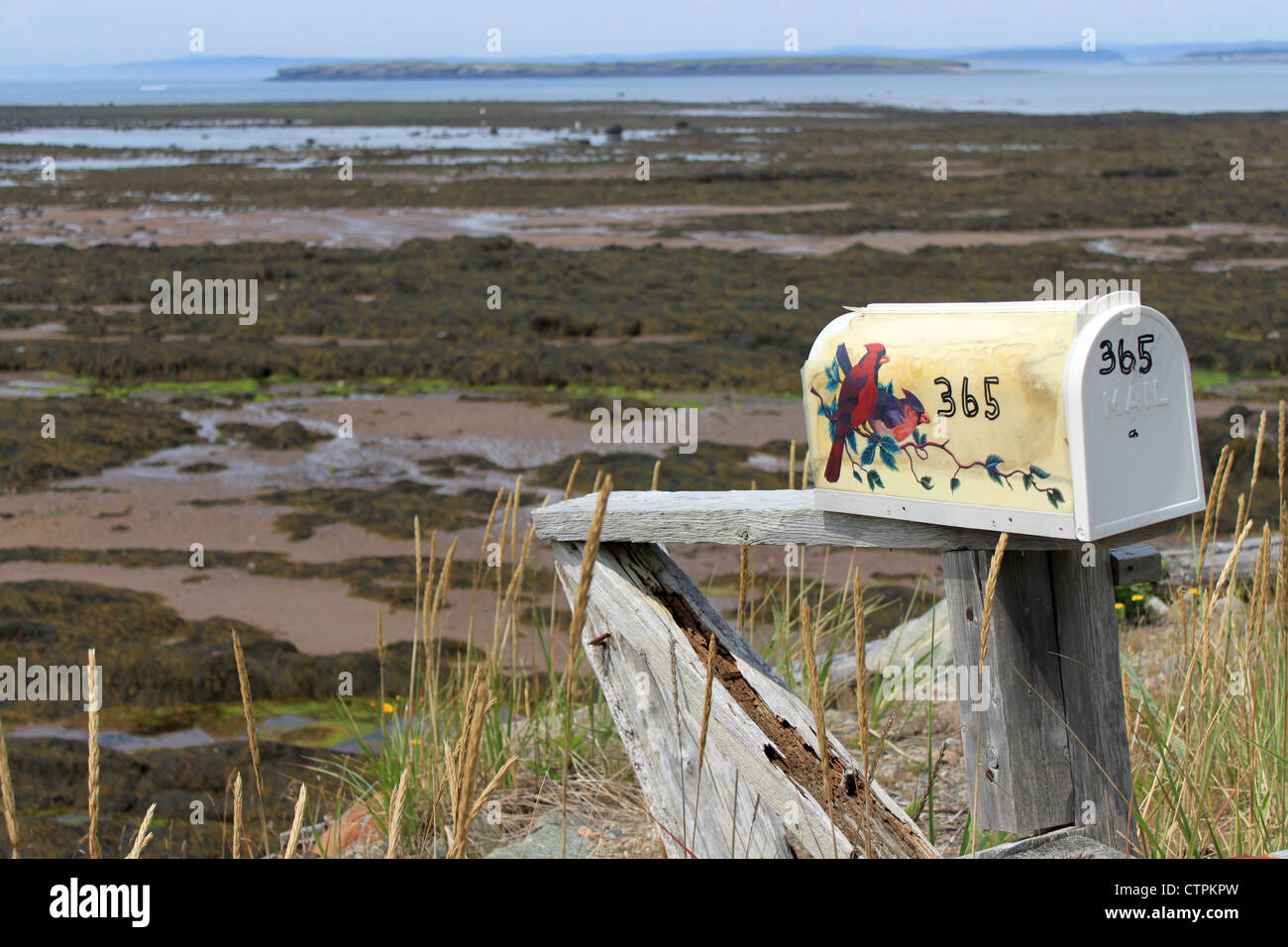 Un buzón a lo largo de la costa de la Bahía de Mazas, New Brunswick